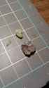 20150606_013818e.jpg