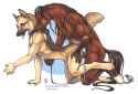 1456360470800.jpg