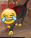 cet.jpg