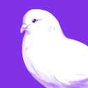 1480842574055.gif