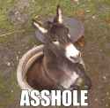 donkeywell.jpg