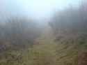 Kalter Nebel.jpg