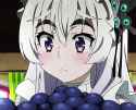 45728161.gif