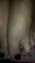 20161114_005418_resized.jpg