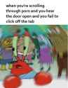 .148714612381.jpg