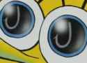spongebob bait.jpg