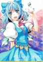 Cirno-nee02.jpg