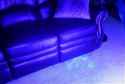 nm-9-bodily-fluid-detection-light-3.jpg