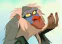 Rafiki-rafiki-2227567-667-478.jpg