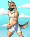 1416863750.vallhund_undie-nh63879-02.png
