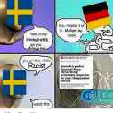 racist sweden.jpg