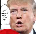 Make doujin edits great again.png