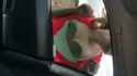August 11, 2015 395.jpg