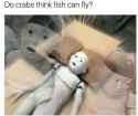 ba7f20ec99b646b384d3a5a8083736e5.jpg