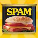 spam.jpg