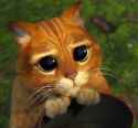 13700-puss-in-boots-shrek-1366x768-cartoon-wallpaper.jpg
