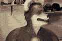 1343135913548.gif