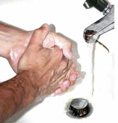 wash.jpg
