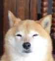2392893563.png