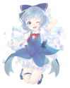 __cirno_touhou_drawn_by_mei_mei19132__sample-8a81dfa2e4ddffb2f38ca6a6361b8ea3.jpg