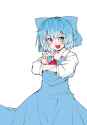 __cirno_touhou_drawn_by_hiro_h_net__29dd08e7fb26855fee725e3c0c9616de.jpg