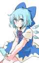 __cirno_touhou_drawn_by_zk_zk_gundan__sample-e1d06116c440773e87ea2657b3ba67fb.jpg