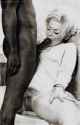 vintageporn74-black.jpg