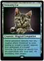 immunity cat.jpg