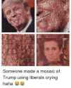 h-someone-made-a-mosaic-of-trump-using-liberals-crying-6732815.png