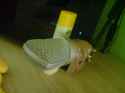 DSC00004.jpg