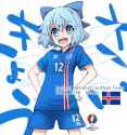__cirno_euro_2016_and_touhou_drawn_by_fujii_jun__a441d54f03ce7dca1505b07084d1b1c5.jpg