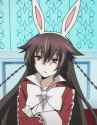 Bunny 3.jpg