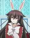 Bunny.jpg