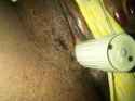 IMG-20110526-00036.jpg