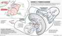 SP_XX_TURBOCHARGER_v2.jpg