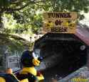 bees.jpg