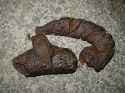 300px-Dog_feces.jpg