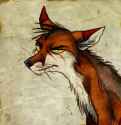 smile_to_the_camera_by_culpeo_fox.jpg