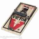 victor_mouse_trap_comp.jpg.thumb_500x500.jpg
