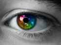 contacts.jpg