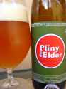 Pliny the Elder.jpg