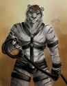 1351916494.davidtigerific_leathertigerfa.jpg