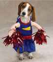 dog.jpg