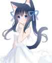 neko.jpg