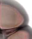 lastscan6.jpg