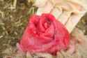 first attempt at kiwi strawberry rose garnish.jpg