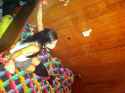 tied_to_the_bed_by_jdoublejake-d6hyv4i-fixed-r.jpg
