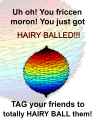 13937943_326379841037353_8216234372763873071_o.jpg