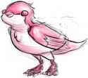 birdie.png