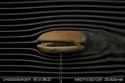 burgergiv.gif